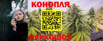 кокс Шебекино