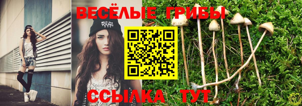 Псилоцибиновые грибы MAGIC MUSHROOMS  Вход с VPN  Богданович  Псилоцибиновые грибы мицелий 