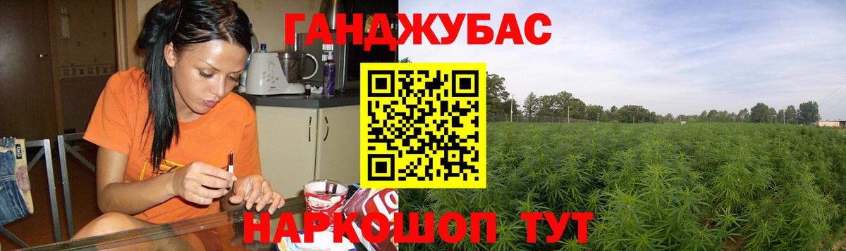 Шишки марихуана марихуана Богданович
